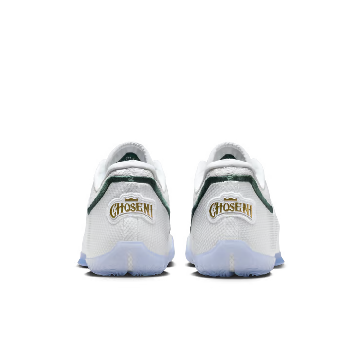 Nike LeBron 23 "Point Forward"